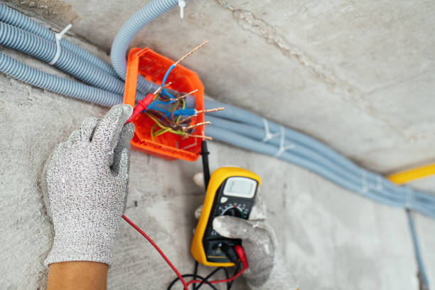 Best Ceiling Fan Installation Electrician  in Hastings, MN